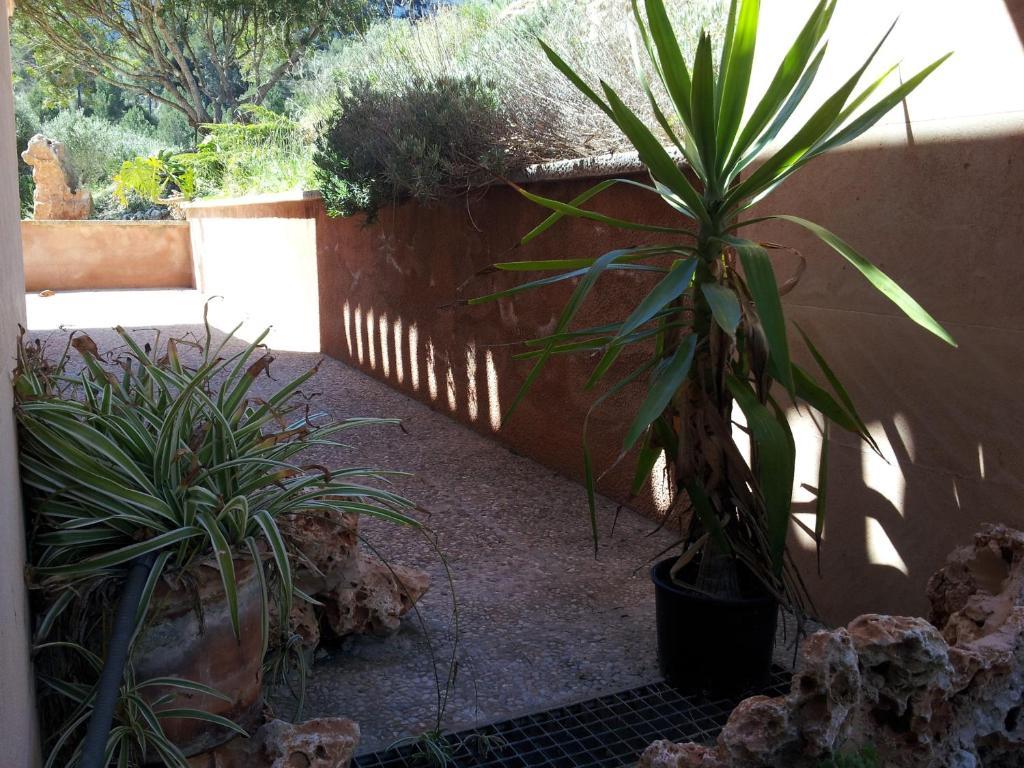 Agroturisme Es Picot Son Macia  Rom bilde